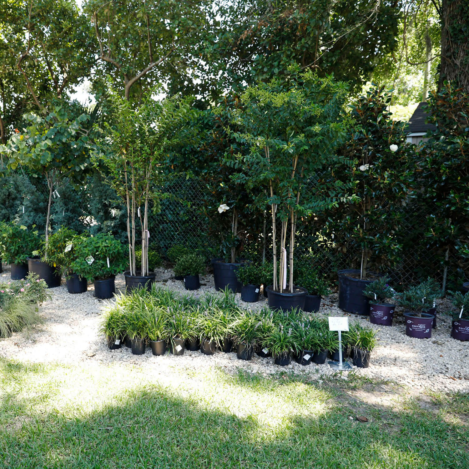 garden center image